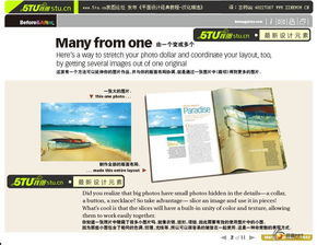 平面设计图文制作 从创意到实现的实战教程